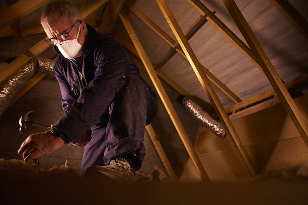 Best Insulation Installation Services in Nicoma Park, OK